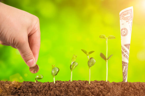 istock bussiness investment:coin growing in soil on green background 954549132
