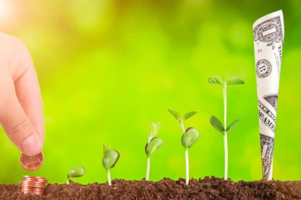 istock bussiness investment:coin growing in soil on green background 954551724
