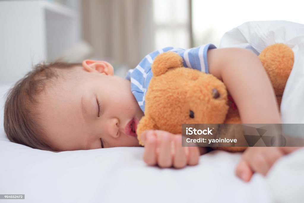 Mignon petit bambin asiatique bébé garçon sain sommeil / sieste sous couverture dans le lit tout en serrant les ours en peluche - Photo de Bébé libre de droits