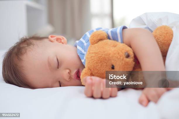 Cute Healthy Little Asian Toddler Baby Boy Child Sleeping Taking A Nap Under Blanket In Bed While Hugging Teddy Bear Stock Photo - Download Image Now