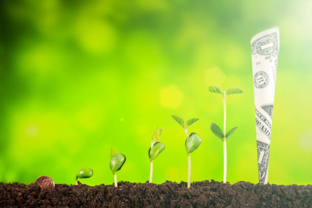 istock bussiness investment:coin growing in soil on green background 954552794