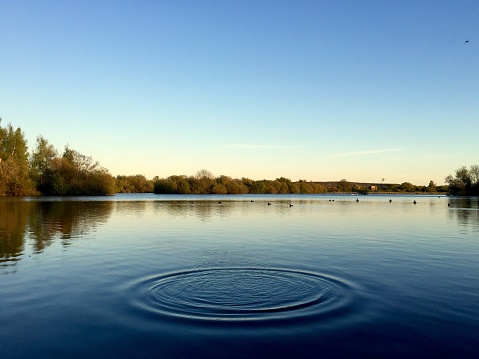 Gentle ripples across a tranquil blue lake at sunset. Attenborough Nature Reserve in Beeston, Nottingham.