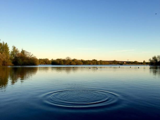 Calm Gentle ripples across a tranquil blue lake at sunset. Attenborough Nature Reserve in Beeston, Nottingham. ripple water rippled lake stock pictures, royalty-free photos & images