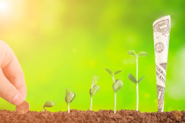 istock bussiness investment:coin growing in soil on green background 954553060