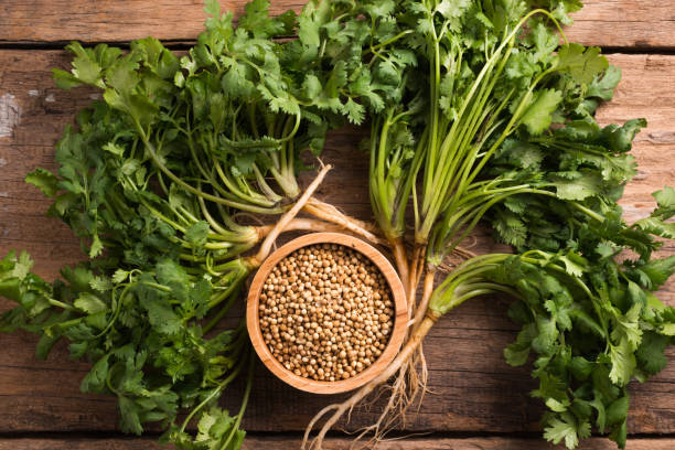 istock Coriander seeds and leaves on a wood background 954553316