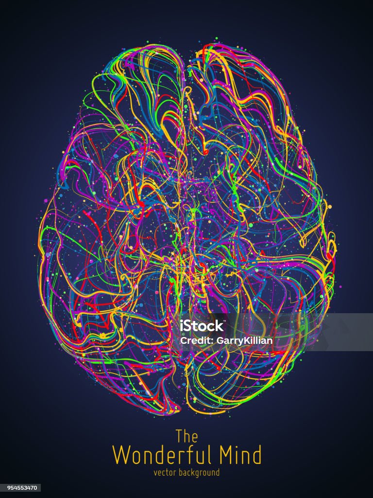 Ilustración colorido vector del cerebro humano con las sinapsis. Imagen conceptual de nacimiento de la idea, imaginación o inteligencia artificial. Red de líneas de forma estructura cerebral. Exploración de la mente futurista. - arte vectorial de Abstracto libre de derechos