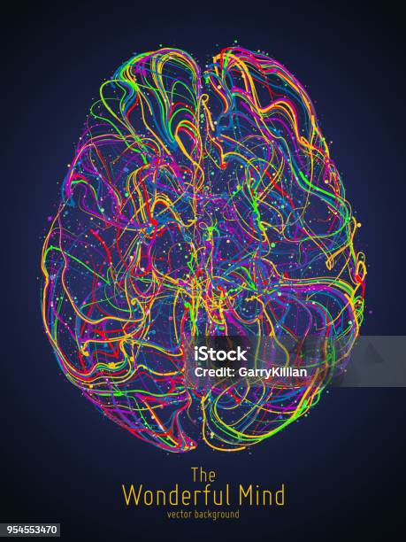 Vector Colorful Illustration Of Human Brain With Synapses Conceptual Image Of Idea Birth Creative Imagination Or Artificial Intelligence Net Of Lines Forms Brain Structure Futuristic Mind Scan Stock Illustration - Download Image Now