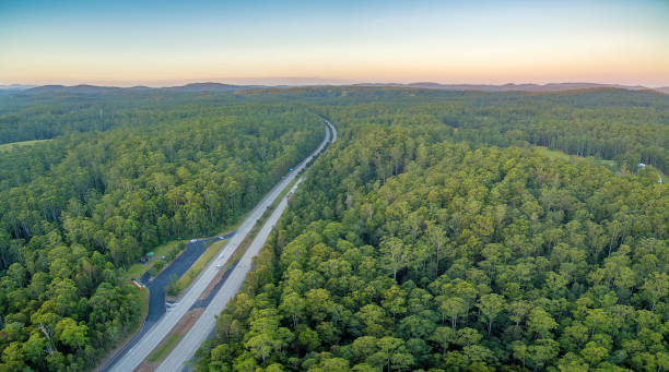 istock Highway passing through forest in rural area at sunset 954557946