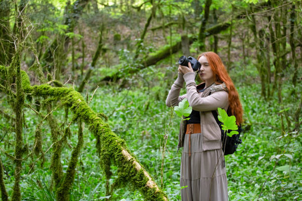 istock girl-photographer in the forest 954564310