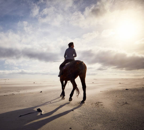 istock Woman riding horse on beach at sunset 954565120