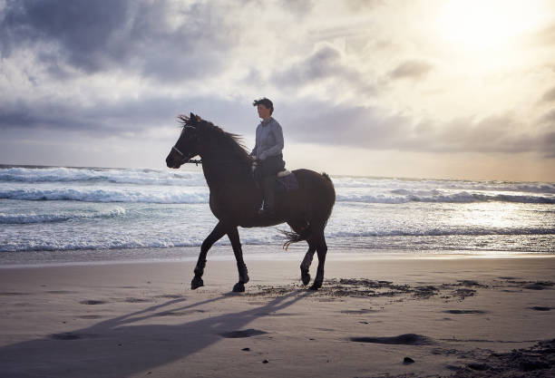 istock Lone rider on deserted winter beach 954565712