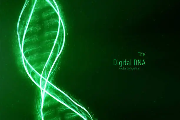 Vector illustration of Vector abstract DNA double helix illustration. Mysterious source of life background. Futuristic genom. Conceptual design of genetics information with binary numbers. Digital and organic life union.