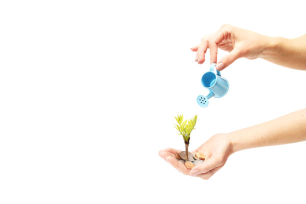 istock Small seedling growing and being watered by coins 954569278