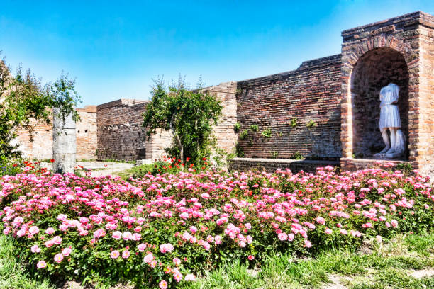 blick auf die wirh rose garten im innenhof und die ruinen von domus della fortuna annonaria - ein reiches haus in ostia antica - rom - domus stock-fotos und bilder