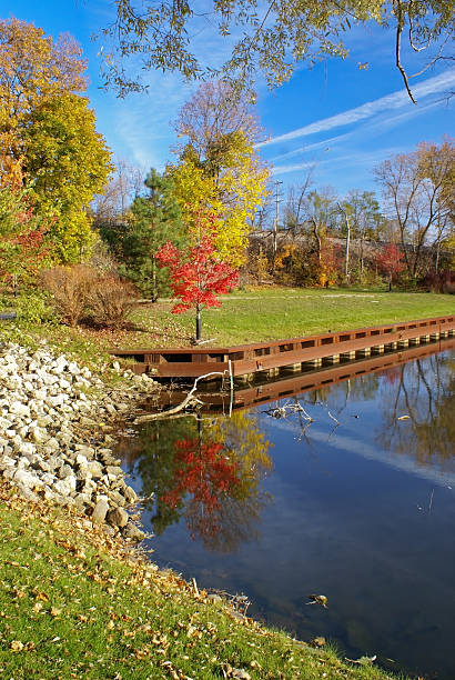 Park in Fall with Blue Sky stock photo