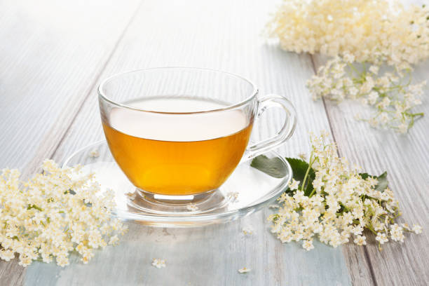Elder flower tea. stock photo