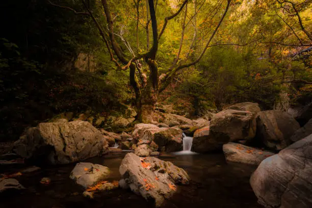 A waterfall in the mountains of Western Turkey continues with this beautiful autumn scene. Looks like the Tree of Life.
