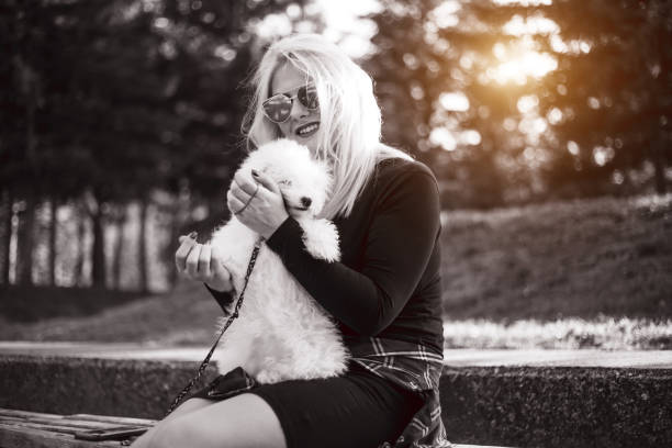 istock Young woman holding cute poodle dog. 954593006