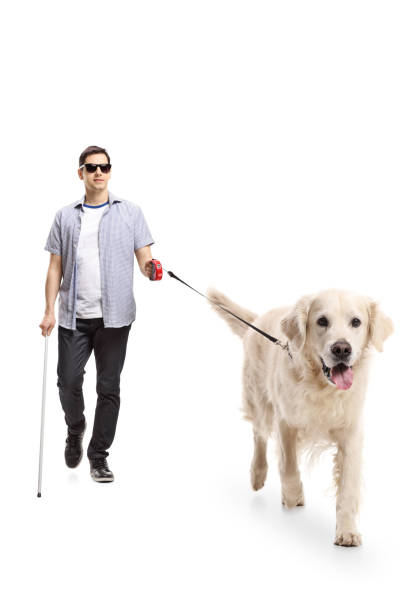 istock Blind young man walking with the help of a dog 954610800