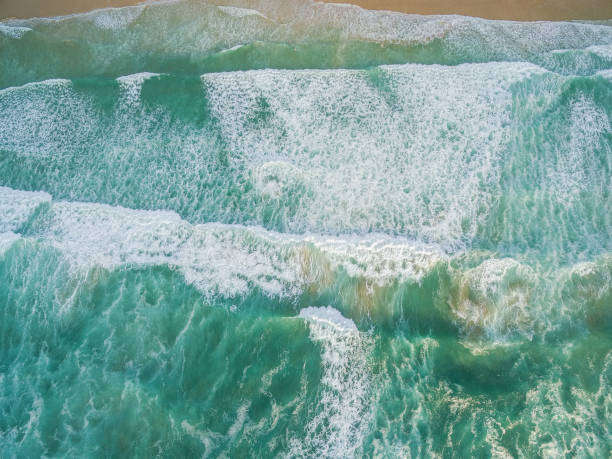 istock Powerful waves crushing on a beach - aerial view 954611392