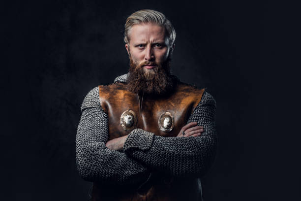 człowiek viking ubrany w nordyckiej zbroi. - period costume obrazy zdjęcia i obrazy z banku zdjęć