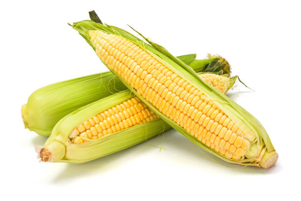 istock Sweet corn cob with green leaves 954616772
