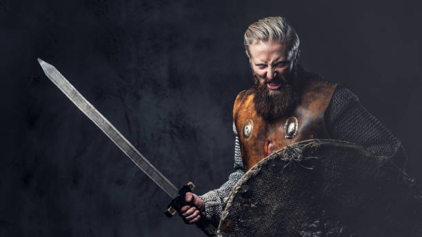 wiking ubrany w nordycką zbroję posiada tarczę i srebrny miecz. - period costume obrazy zdjęcia i obrazy z banku zdjęć