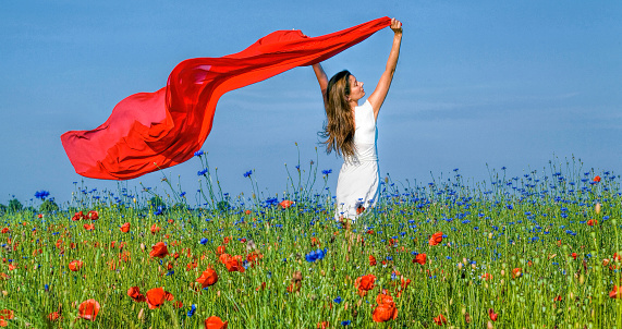 Rear view on white dressed woman standing in poppy field with raised arms holding red scarf blowing in wind