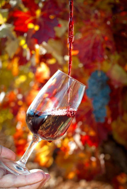 glass of wine. Jet of wine. glass of wine. Jet of wine. beaujolais stock pictures, royalty-free photos & images