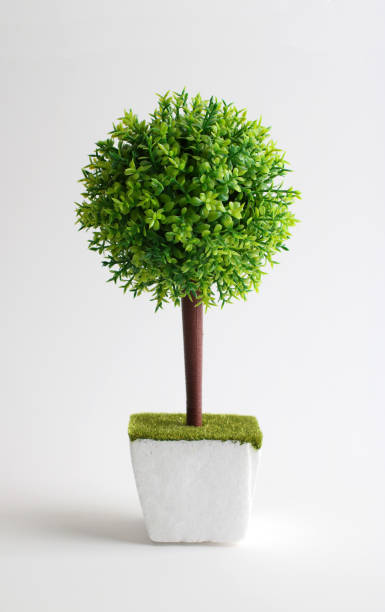 흰색 냄비에 장식적인 인공적인 녹색 식물 - artificial tree 뉴스 사진 이미지