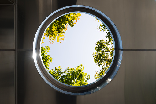 Circle windows with  Top view with tree branch and blue sky