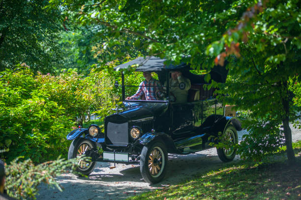istock Beautiful green trees around when driving through a park 954645570
