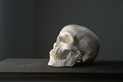 Human skull view from the side on a dark background