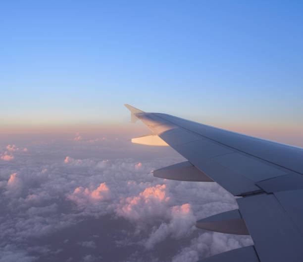 istock Airplane flying above the clouds in the sunrise 954655166