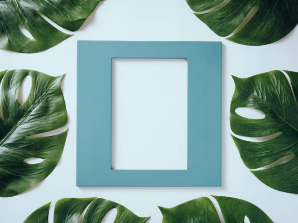 istock Square blue frame decorated with tropical leaves Monstera 954655986