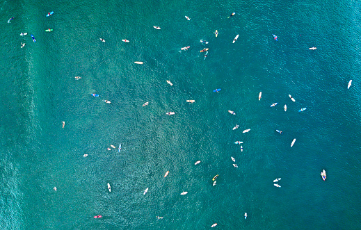 AERIAL, TOP DOWN: Impressive shot of a horde of surfers in the vast blue ocean. Numerous tourists overcrowding famous surf spot. Active people waiting on surfboards to ride waves in the summer sun.