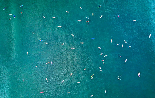 aérea, de cima para baixo: foto impressionante de uma horda de surfistas no vasto oceano azul. - crowd surfing - fotografias e filmes do acervo