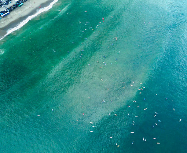 spot de surf popular aéreo perto de praia de areia está repleto de turistas no verão - crowd surfing - fotografias e filmes do acervo