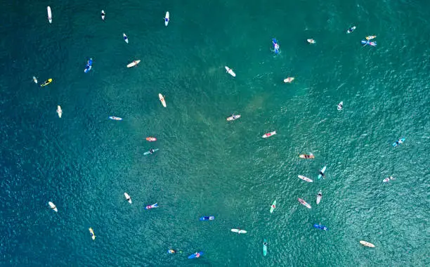 Photo of TOP DOWN: Mass of people moving around on surfboards in the middle of the ocean.