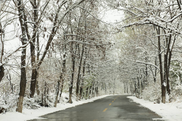 istock The country road after the snow. 954657128