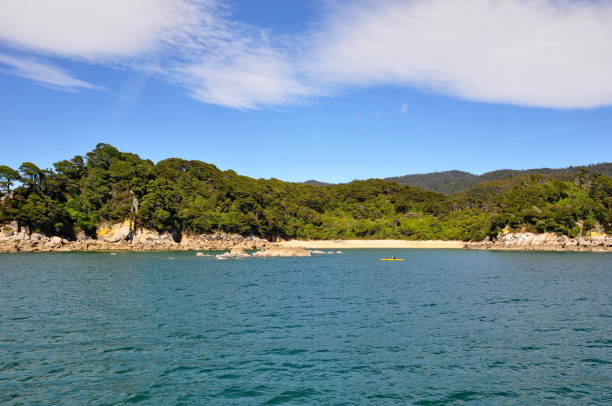 istock Seascape, Abel Tasman National Park 954665618