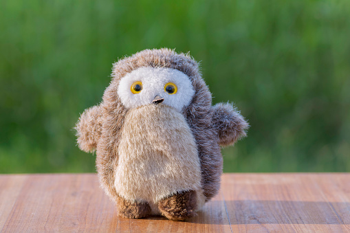 Owl doll standing on wood