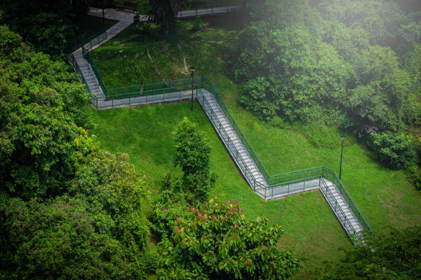 The Climbing stairs on mountain in park.