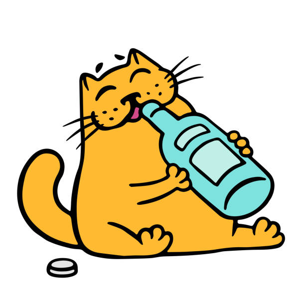 ilustrações, clipart, desenhos animados e ícones de gato feliz bebe uma garrafa de vinho. ilustração em vetor. - alcohol drop cartoon cheerful