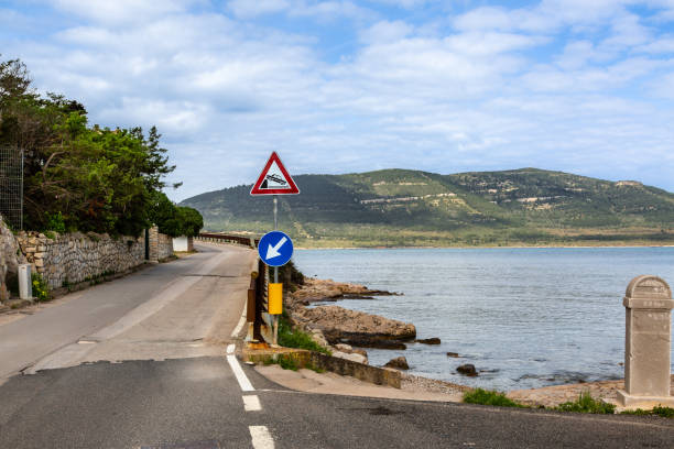 istock Curious road sign on the coast 954694150