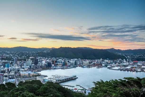 Aerial view of Wellington City with sunset from Mt Victoria  - New Zealand stock photo