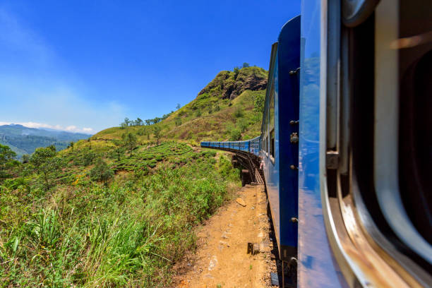 istock Train travels through the tea plantation at Sri Lanka. 954697256