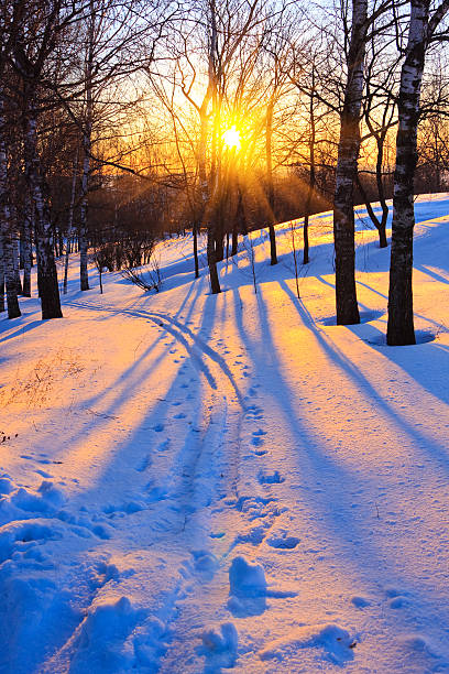 冬の公園 - rural scene russia ski track footpath ストックフォトと画像