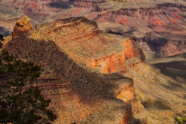 istock Grand Canyon, Arizona 954702754