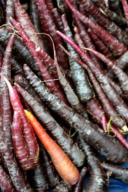 istock Close-up Organic Carrots and Beets 954705910